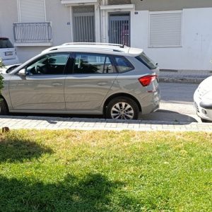 Που πάνε οι περιμετρικοί θάμνοι στο τετράγωνο του Δημοτικού Θεάτρου;
