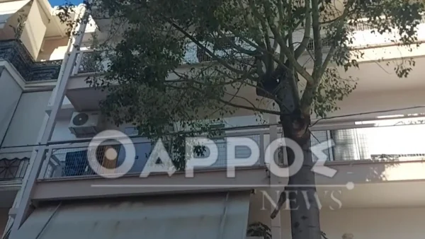 Καλαμάτα: «Βοήθεια φώναζε» η 39χρονη πριν δολοφονηθεί από τον σύζυγό της – Συχνοί οι καβγάδες το τελευταίο διάστημα, λένε γείτονες