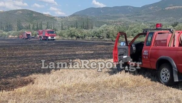 Μεγάλη πυρκαγιά στην περιοχή της Πελασγίας στη Φθιώτιδα