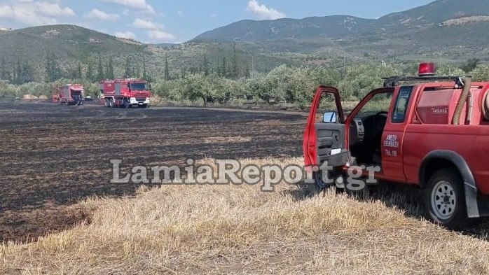 Μεγάλη πυρκαγιά στην περιοχή της Πελασγίας στη Φθιώτιδα