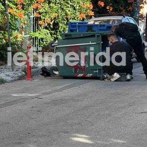 Ταυτοποιήθηκε το θύμα στην Καλλιθέα: 15 ετών, έπεσε νεκρός από μαχαιριά στον θώρακα