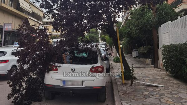 Λαμία: Θυελλώδεις άνεμοι έσπασαν δέντρα και δημιούργησαν προβλήματα