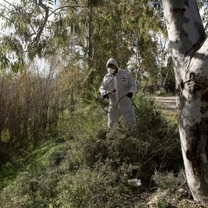Φθιώτιδα: Που θα γίνουν αυτή την εβδομάδα ψεκασμοί για τα κουνούπια