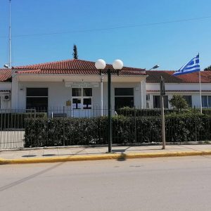 Αιφνίδιος θάνατος 21χρονης στα Ψαχνά - Για τσίμπημα σφήκας κάνουν λόγο οι συγγενείς της