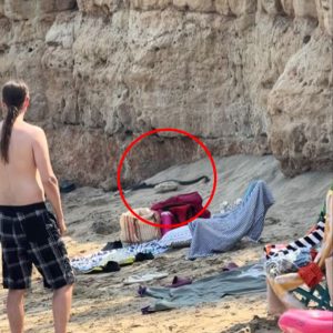 Φίδια τρόμαξαν τους λουόμενους στην παραλία του Πρωταρά (ΒΙΝΤΕΟ)