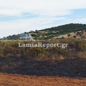 Μία ακόμη σύλληψη στην Εύβοια για πρόκληση πυρκαγιάς (ΦΩΤΟ)