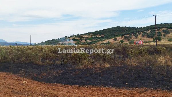 Μία ακόμη σύλληψη στην Εύβοια για πρόκληση πυρκαγιάς (ΦΩΤΟ)