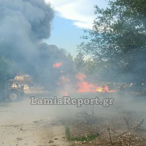 Φθιώτιδα: Πτώση δέντρου προκάλεσε βραχυκύκλωμα και παραλίγο να κάψει το Νέο Μοναστήρι (ΦΩΤΟ)