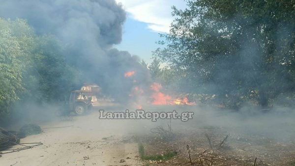 Φθιώτιδα: Πτώση δέντρου προκάλεσε βραχυκύκλωμα και παραλίγο να κάψει το Νέο Μοναστήρι (ΦΩΤΟ)