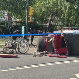 Άλογο άμαξας αφήνιασε, παρέσυρε και σκότωσε 18χρονο στο Σέντραλ Παρκ - Δραματικό βίντεο