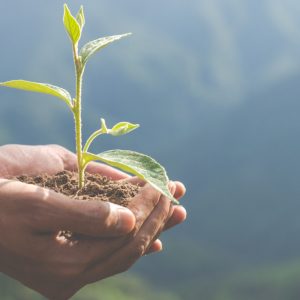 Η ΔΕΥΑ Λαμίας για την Παγκόσμια Ημέρα Περιβάλλοντος
