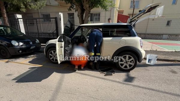Λαμία: Φίδι «τρύπωσε» σε αυτοκίνητο και δεν έβγαινε με τίποτα