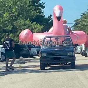 Τεράστιο ροζ φλαμίνγκο στην παραλία της Αρκίτσας (ΦΩΤΟ)