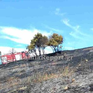 Φθιώτιδα: Πρόλαβαν τη μεγάλη πυρκαγιά στον Έξαρχο - Δείτε εικόνες