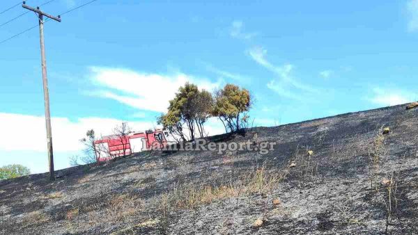 Φθιώτιδα: Πρόλαβαν τη μεγάλη πυρκαγιά στον Έξαρχο - Δείτε εικόνες