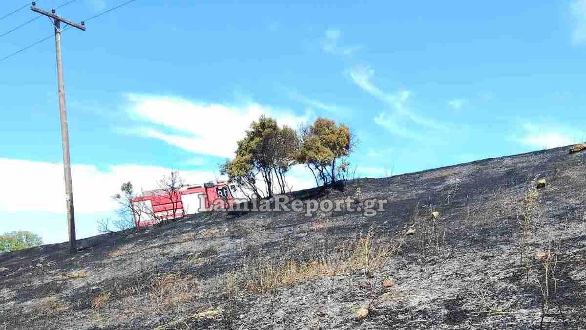 Φθιώτιδα: Πρόλαβαν τη μεγάλη πυρκαγιά στον Έξαρχο - Δείτε εικόνες