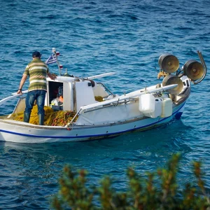 Σχέδιο επιδότησης για το «κυνήγι» του λαγοκέφαλου: Τα σενάρια που εξετάζονται και η πρόταση να αφήσουν τη φύση να κάνει το... ξεκαθάρισμα