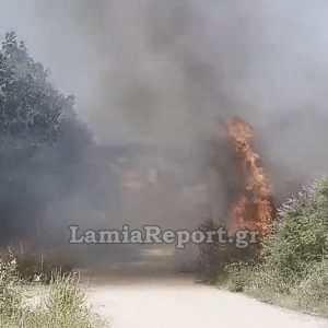 Πυρκαγιά στην είσοδο της Λυγαριάς Λαμίας - Μεγάλη κινητοποίηση της Πυροσβεστικής (ΒΙΝΤΕΟ-ΦΩΤΟ)