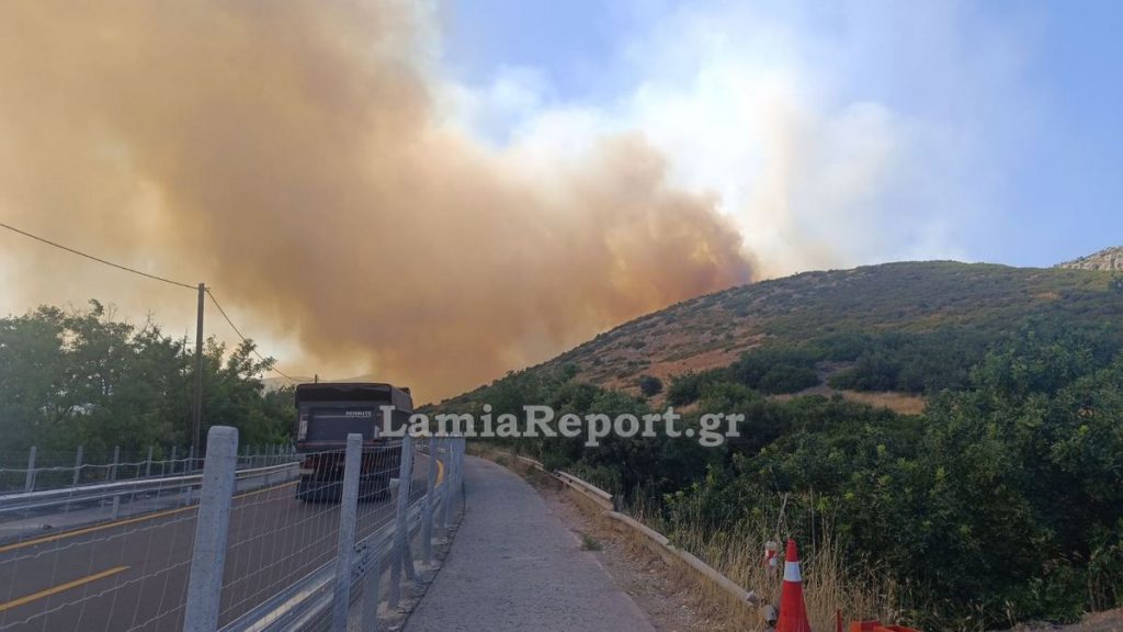 Κλειστή η εθνική οδός από την πυρκαγιά στο Ακραίφνιο (ΒΙΝΤΕΟ-ΦΩΤΟ)