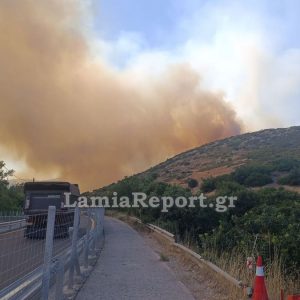 Κλειστή η εθνική οδός από την πυρκαγιά στο Ακραίφνιο (ΒΙΝΤΕΟ-ΦΩΤΟ)