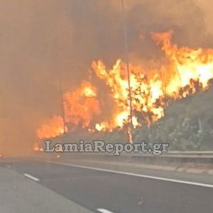 Κλειστή η εθνική οδός από την πυρκαγιά στο Ακραίφνιο (ΒΙΝΤΕΟ-ΦΩΤΟ)