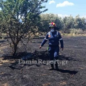 Σύλληψη για την πυρκαγιά στην Πελασγία - Σε ύφεση όλες οι πυρκαγιές στη Στερεά