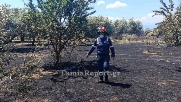 Σύλληψη για την πυρκαγιά στην Πελασγία - Σε ύφεση όλες οι πυρκαγιές στη Στερεά