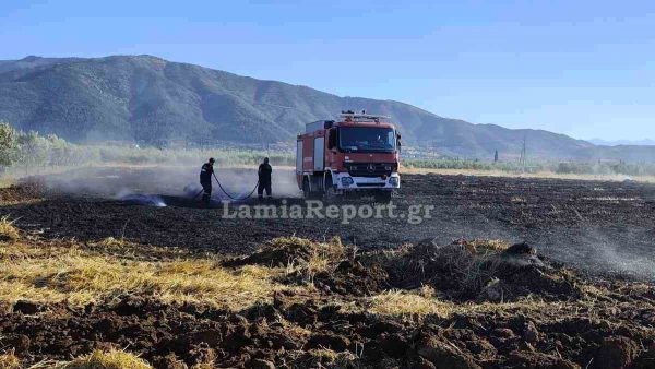 Άμεση επέμβαση της Πυροσβεστικής σε πυρκαγιά στο Μεγαπλάτανο Αταλάντης