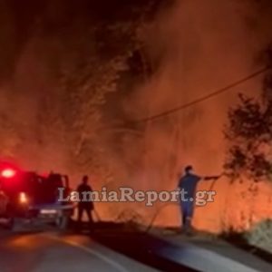 Λαμία: Πυρκαγιά αργά το βράδυ στην είσοδο του Κωσταλεξίου (ΒΙΝΤΕΟ)