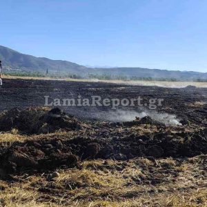 Υψηλός κίνδυνος πυρκαγιάς και σήμερα για περιοχές της Φθιώτιδας