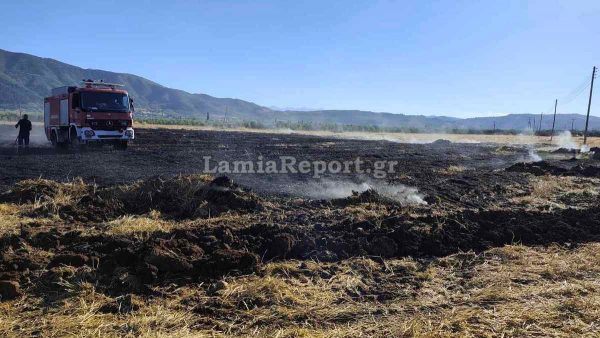 Υψηλός κίνδυνος πυρκαγιάς και σήμερα για περιοχές της Φθιώτιδας
