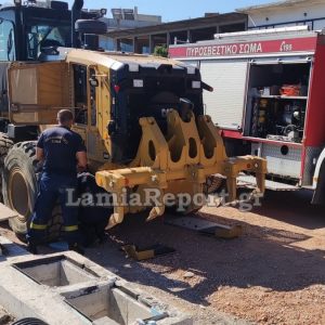 Φθιώτιδα: Πυροσβέστες απεγκλώβισαν τρία γατάκια από μηχάνημα έργου - ΒΙΝΤΕΟ