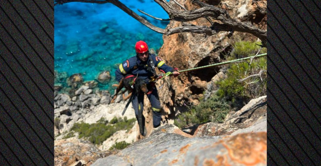Η Πυροσβεστική έσωσε σκύλο που έπεσε σε γκρεμό παραλίας στη Ζάκυνθο
