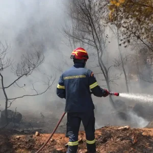 Φωτιά στο Μαρκόπουλο Αττικής - Συναγερμός στην πυροσβεστική