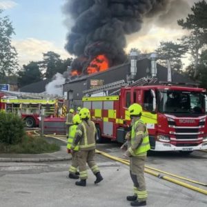 Φονική πυρκαγιά σε ζωολογικό κήπο στη Βρετανία: Πέθαναν όλα τα εξωτικά ζώα, ανάμεσά τους σουρικάτες και γιγάντιες χελώνες