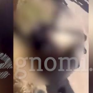 Άγριος καβγάς μεταξύ κοριτσιών έξω από Γυμνάσιο στην Εύβοια, με τους συμμαθητές τους να κάνουν... κερκίδα (ΒΙΝΤΕΟ)