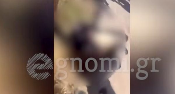 Άγριος καβγάς μεταξύ κοριτσιών έξω από Γυμνάσιο στην Εύβοια, με τους συμμαθητές τους να κάνουν... κερκίδα (ΒΙΝΤΕΟ)