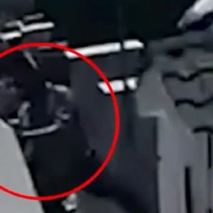 Στιγμές τρόμου στους Θρακομακεδόνες – Πέντε διαρρήκτες πήδηξαν μάντρα σπιτιού και ψέκασαν με σπρέι την ιδιοκτήτρια