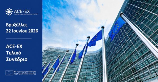 Το Ευρωπαϊκό Πρόγραμμα ACE-EX παρουσιάζει στις Βρυξέλλες τα αποτελέσματά του για τις νέες δεξιότητες στην κυκλική οικονομία