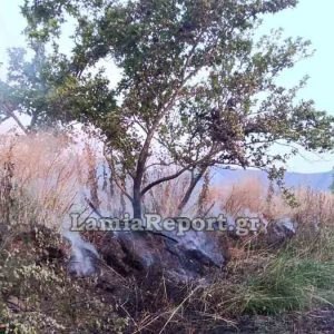 Πυρκαγιά κοντά στην παραλία του Αγίου Γεωργίου Πελασγίας (ΦΩΤΟ)