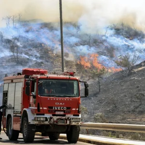 Φωτιά στα Αμπελάκια Σαλαμίνας -Επί τόπου ισχυρές δυνάμεις της Πυροσβεστικής