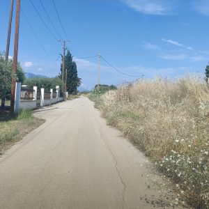 Ροδίτσα: Επικίνδυνη η κατάσταση δίπλα στις γραμμές του τρένου