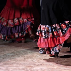 Την Παρασκευή η παράσταση χορού Φλαμένκο και παραδοσιακό ελληνικό γλέντι με τα “Ρεγκίνια” στον Τόπο Τεχνών “Χώρα”