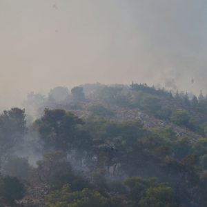 Φωτιά στην Περιφερειακή Αιγάλεω: Ήχησε 112 για Αφαία και Άνω Δάσος Χαϊδαρίου, εκκενώνεται το Ψυχιατρικό νοσοκομείο στο Δαφνί, δείτε βίντεο από drone