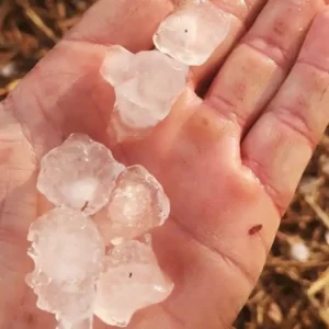 Αλεξανδρούπολη: Χαλάζι και ισχυροί άνεμοι σάρωσαν την περιοχή – Ζημιές σε χιλιάδες στρέμματα καλλιεργειών