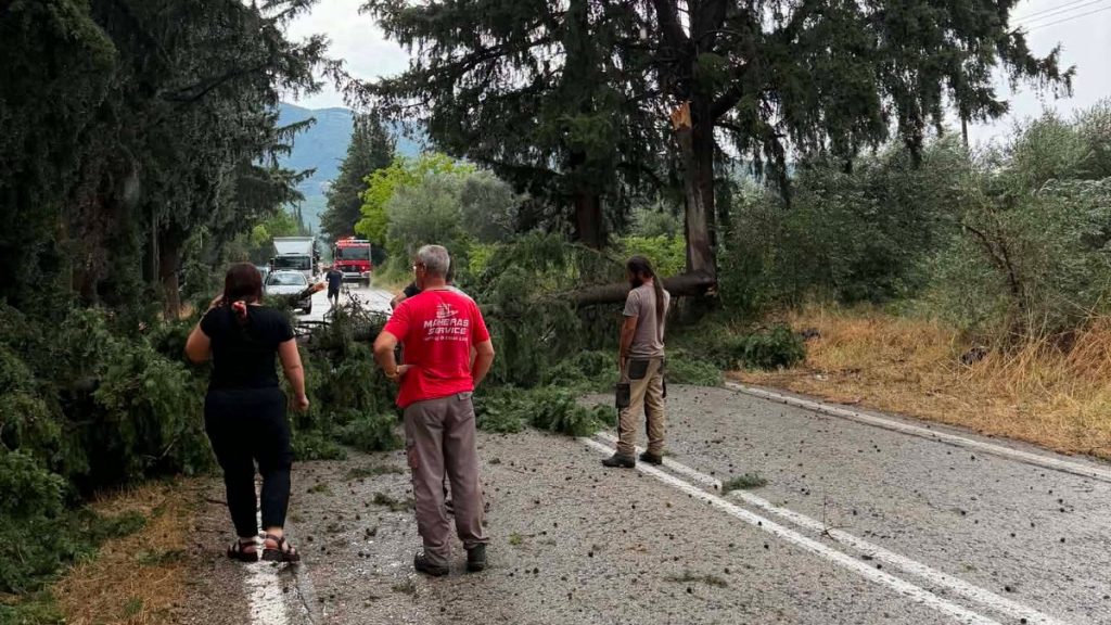 Μεγάλες ζημιές στις καλλιέργειες στο Δήμο Αμφίκλειας - Ελάτειας