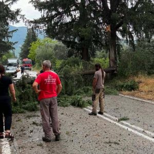 Μεγάλες ζημιές στις καλλιέργειες στο Δήμο Αμφίκλειας - Ελάτειας