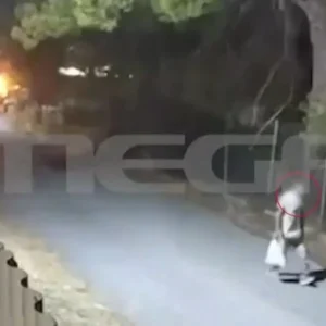 Καρέ-καρέ εμπρησμός από πρόθεση δίπλα σε δασική έκταση: Συνελήφθη 50χρονος – Δείτε βίντεο