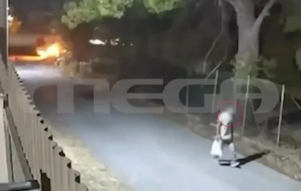 Καρέ-καρέ εμπρησμός από πρόθεση δίπλα σε δασική έκταση: Συνελήφθη 50χρονος – Δείτε βίντεο