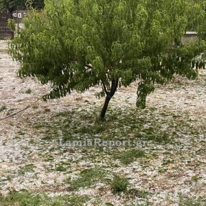 Ο Χρήστος Σταϊκούρας για τις ζημιές από την χαλαζόπτωση στη δυτική Φθιώτιδα